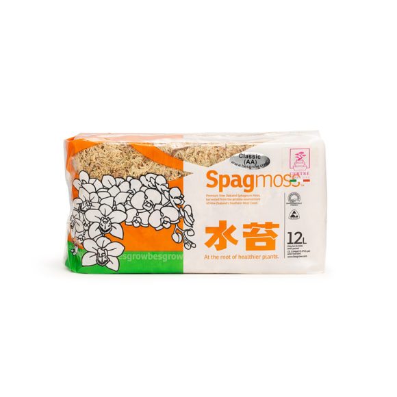 Sfagno