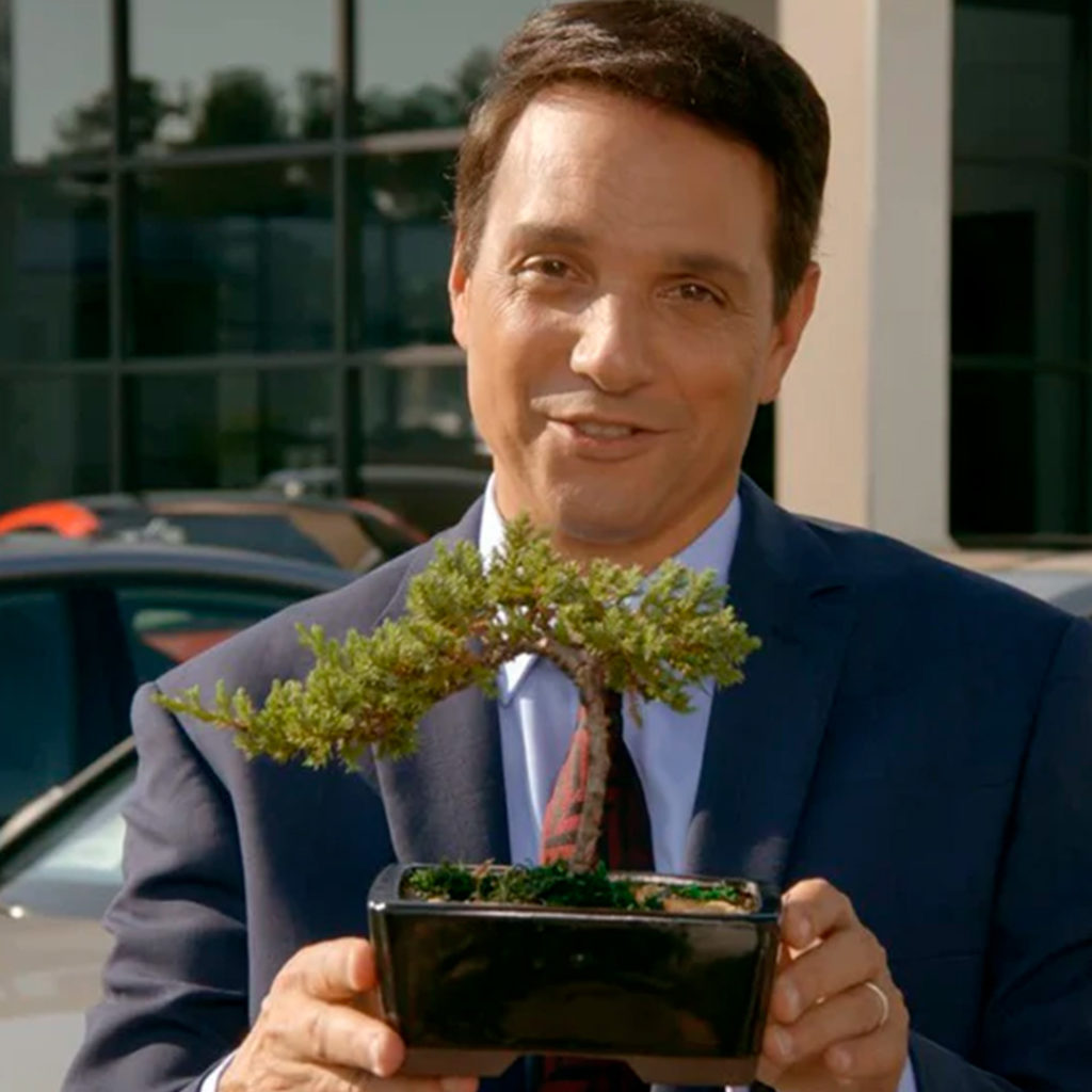 Scopri come gli alberi bonsai hanno ispirato e arricchito storie indimenticabili!