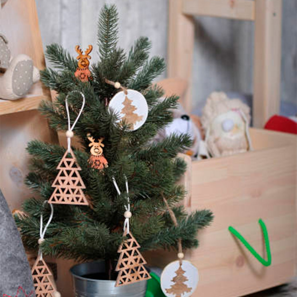 Scopri come prenderti cura del tuo bonsai a Natale con i nostri consigli pratici. Protezione dal freddo, annaffiatura e luce adeguata a un bonsai sano anche in inverno.
