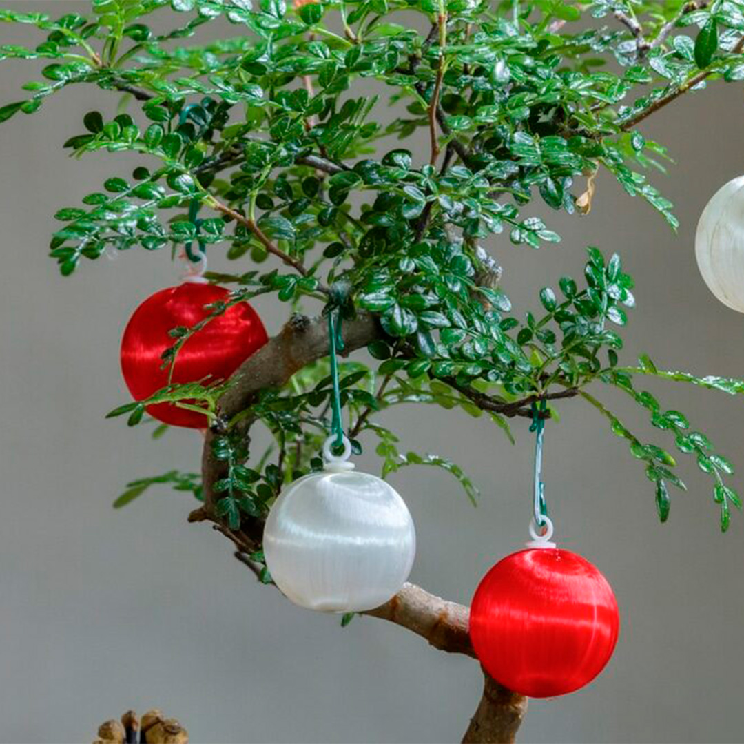 Bonsai natalecertre_